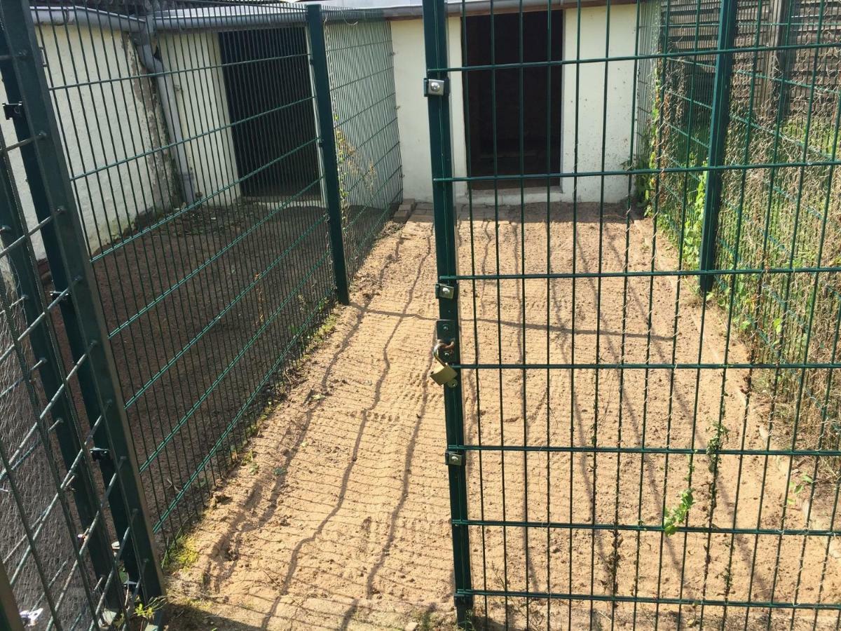 Ferienwohnung ノイシュトレーリッツ エクステリア 写真